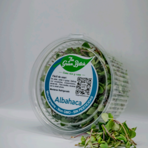 Albahaca Verde