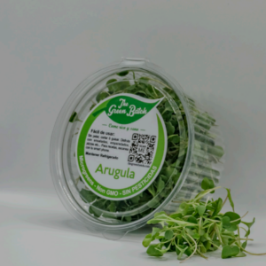 Arúgula