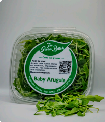 Baby Arugula PET