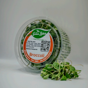 Broccoli