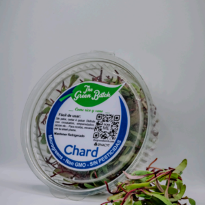 Chard (Acelga)