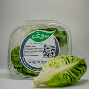 Cogollos
