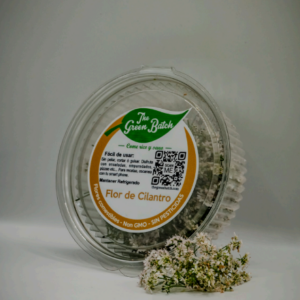 Flor de Cilantro