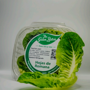 Hojas de Romana