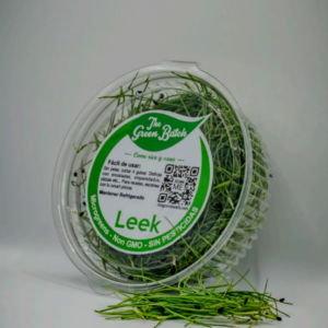 Leek (Puerro)