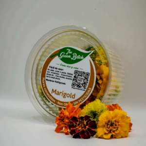 Marigold