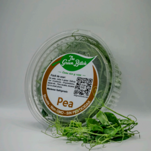 Pea (Arveja)