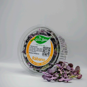 Rábano Morado