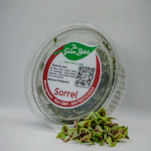 Sorrel
